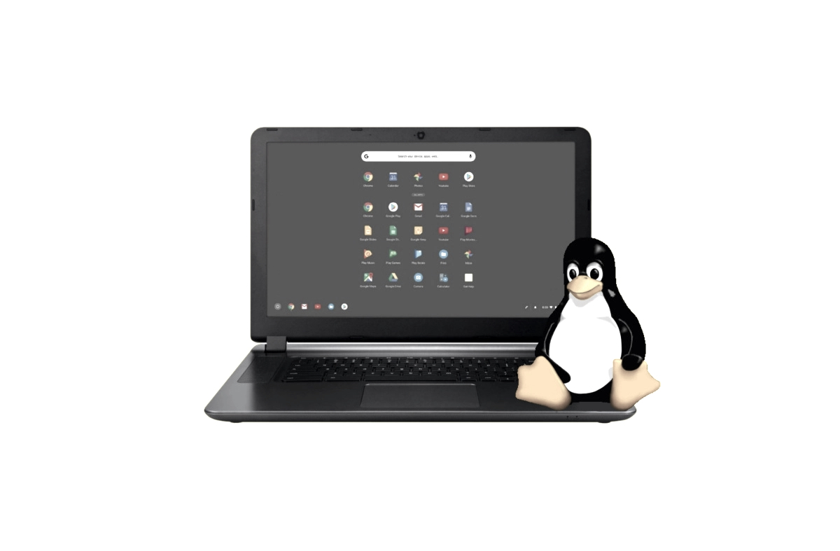 download linux on chromebook